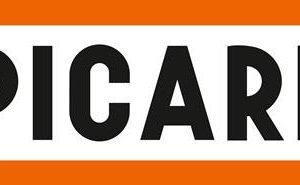 Kanaldeckelhammer 350 Kopf-G.600g glatt PICARD