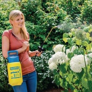 Drucksprühgerät Prima 3 Füllinhalt 3l 3bar Perbunan (NBR) G.1,24kg GLORIA