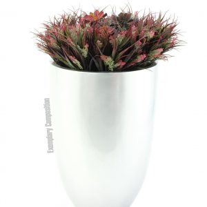 EUROPALMS LEICHTSIN CUP-69, silber, glänzend